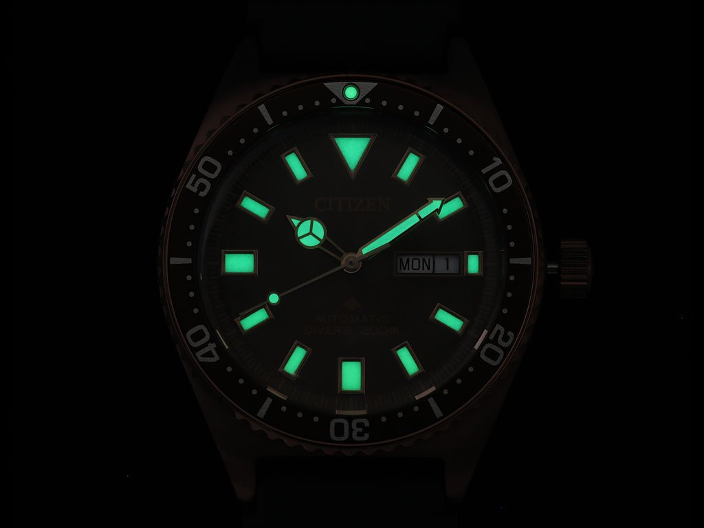 Citizen PROMASTER Mechanical Diver 200m NY0125-08W