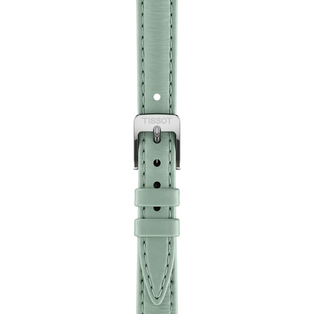 Tissot SRV 30mm
T160.110.16.093.00